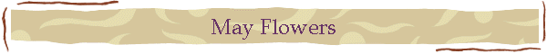 May Flowers