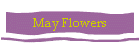 May Flowers